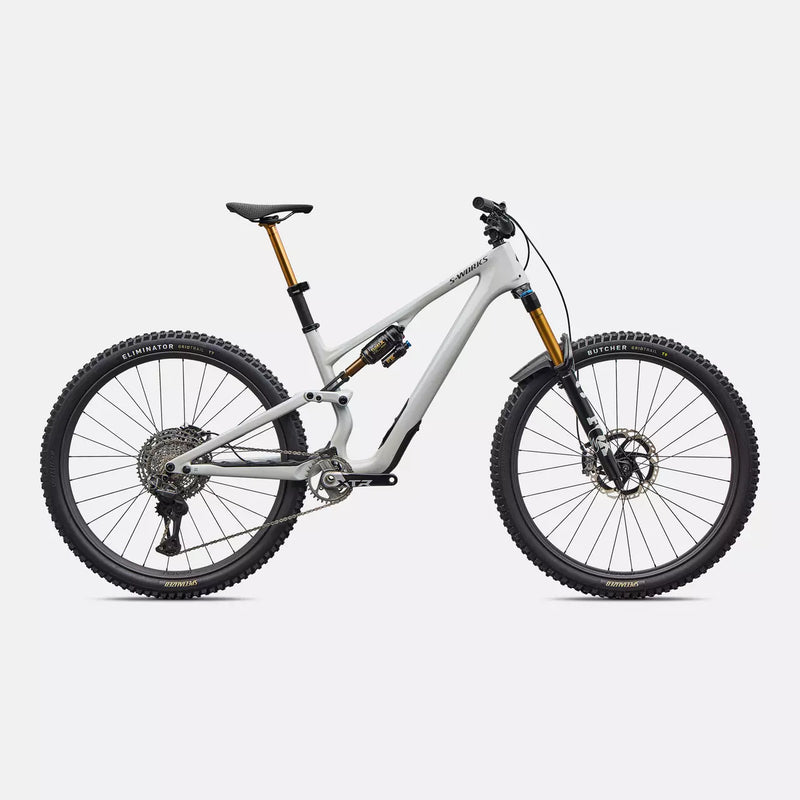 Stumpjumper EVO