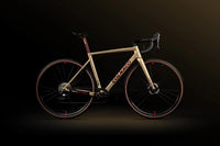 Colnago G3-X