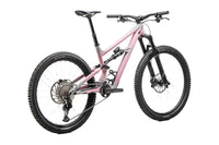 Specialized Status