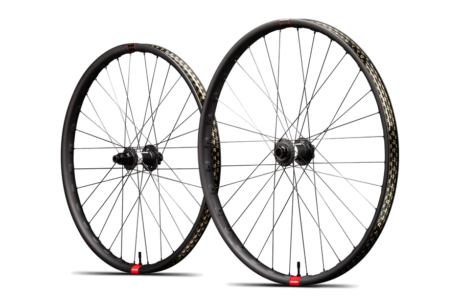 Reserve 30|DH Carbon